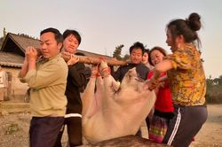 Mổ lợn 'đụng' ăn tết - nét văn hóa của người Việt