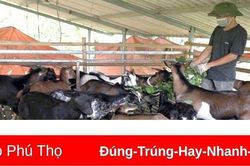 Phát huy nội lực trong xây dựng nông thôn mới ở Yên lập