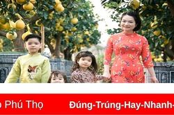 Áo dài khoe sắc đón Xuân