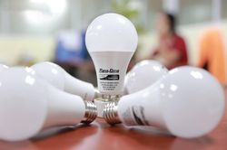 Nhà sản xuất bóng đèn Rạng Đông lãi kỷ lục