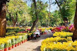 TP Hồ Chí Minh: Chợ hoa tràn ngập sắc màu nhưng vắng khách mua