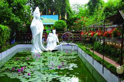 Thăm 'vương quốc chó mèo' của Nguyễn Bảo Sinh