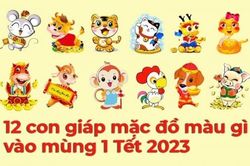 12 con giáp mặc đồ màu gì vào mùng 1 Tết 2023 để may mắn cả năm?