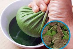 3 loại lá sẵn có, rẻ tiền nhưng lại là phương thuốc quý chữa trào ngược dạ dày ít người biết