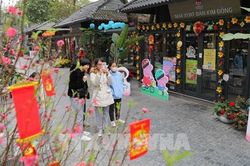 Cập nhật thời tiết dịp Tết Nguyên đán