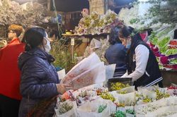 Độc đáo chợ hoa đêm Quảng An