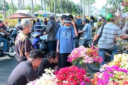 Hoa Tết tiêu thụ chậm, người bán lo lắng