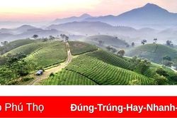 'Săn' mây, 'bắt' bình minh Long Cốc