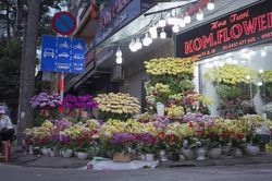 TP. Hồ Chí Minh: Tấp nập chợ hoa Hồ Thị Kỷ