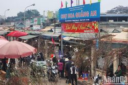 Bắc Bộ, Bắc Trung Bộ duy trì thời tiết rét đến mùng 5 Tết