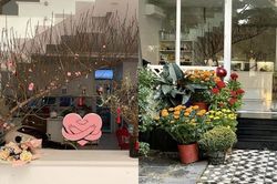 Cận cảnh không gian rực rỡ của Thân Thúy Hà ngày Tết