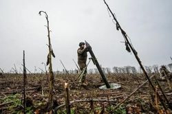 Tình hình Ukraine: Giao tranh ở miền Nam 'gia tăng mạnh', NATO kêu gọi hỗ trợ Kiev duy trì hệ thống vũ khí hiện có