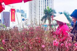 Dự báo thời tiết ngày mùng 1 Tết: Bắc Bộ có nắng