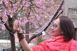 Rợp sắc hoa đào ở Măng Đen ngày giáp Tết