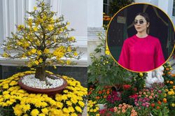 Tăng Thanh Hà khoe khung cảnh 'ngập sắc xuân' dịp Tết nguyên đán trong biệt thự trăm tỷ