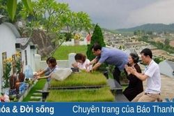 Vái lạy quê nhà!