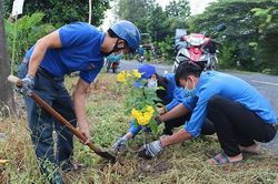 Tổ chức 'Tết trồng cây đời đời nhớ ơn Bác Hồ' và tăng cường công tác quản lý, bảo vệ, phát triển rừng