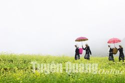 Sức xuân bản làng
