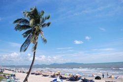 Kế hoạch hành động thực hiện nghị quyết về phát triển vùng Đông Nam Bộ