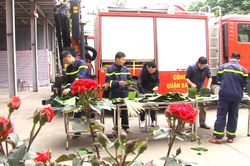 Lính cứu hỏa Hà Nội quây quần gói bánh chưng đón Tết