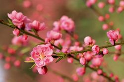 Tự tin bước vào Xuân mới