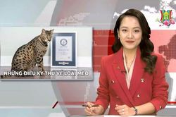 Nhìn ra thế giới (ngày 22/01/2023)