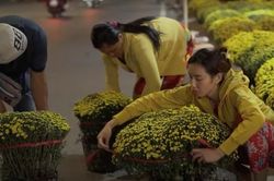 Thùy Tiên: 'Nhiều người trẻ quên về nhà, cũng có người muốn sum vầy gia đình nhưng không thể'