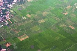 Trên mặt đất bình yên