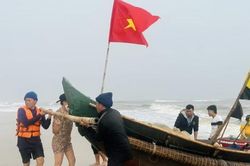 Kinh tế Kinh tế Thuyền về, tôm cá đầy khoang