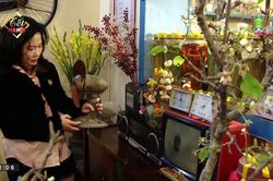 Người Tràng An - Người Hà Nội (ngày 22/01/2023)