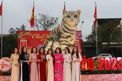 Hàng vạn du khách đến chụp ảnh cùng 'hoa hậu mèo' ở Quảng Trị