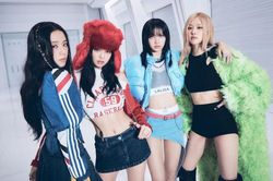 BlackPink sẽ tan rã khi kết thúc hợp đồng với YG Entertainment?
