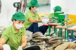 Những người trẻ khởi nghiệp từ 'tài nguyên' của làng