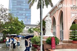 Bất chấp mưa rét, người dân và du khách rộn ràng du xuân