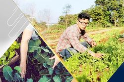 Trí 'hữu cơ' ươm mầm hy vọng ở Măng Đen