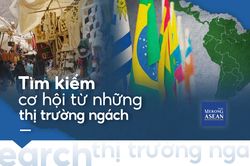 Tìm kiếm cơ hội từ những thị trường ngách