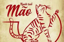 Góc nhìn vui về tính cách của người tuổi Mão