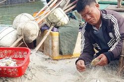 Ngư dân Hà Tĩnh đón 'lộc biển' sau chuyến ra khơi đầu năm