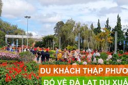 Du khách thập phương đổ về Đà Lạt du xuân