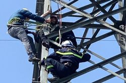 Giải cứu người phụ nữ hơn 60 tuổi trèo cột điện cao thế