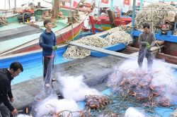 Ngư dân Nghệ An tất bật chuẩn bị cho chuyến 'mở biển' đầu năm