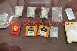 Sa Pa: Bắt giữ đối tượng tàng trữ nhiều loại ma túy