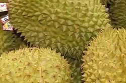 Sầu riêng Việt Nam được ưa chuộng tại Trung Quốc