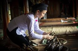 Bánh trong nghi lễ của người Tày ở Nghĩa Đô