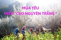 Mùa yêu miền 'cao nguyên trắng'