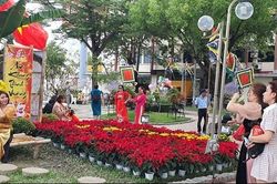 Khánh Hòa hút du khách những ngày Tết Quý Mão