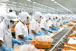 Doanh nghiệp lên kế hoạch ra quân, mở hàng đầu năm mới