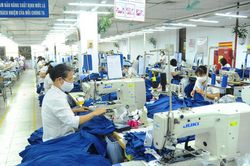 Bắt tay ngay vào sản xuất