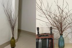 Hết Tết rồi mà tuyết mai… chưa nở
