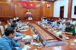 Cà Mau yêu cầu khẩn trương công việc ngay từ đầu năm mới